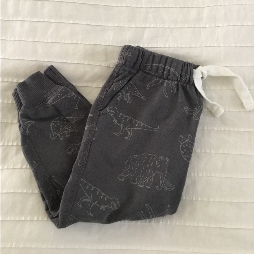 Carter’s Toddler Jogger Pants Size 24month Dinosaurs, Mammoth, Sabertooth Tiger